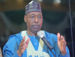 Zulum Advocates For Wider Consultation On Proposed Tax Reform Bill