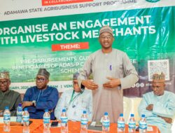 BREAKING: Gov Fintiri Approves Disbursement of N2bn Credit to Livestock, Grains Merchants